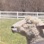 meの画像