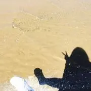 SSの画像