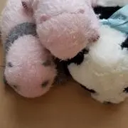 pandaの画像