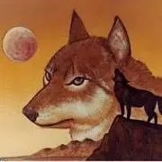 希少】MTG 裏切り者の都 日本語版 ミスカット エラーカード - メルカリ