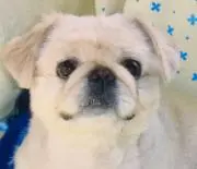 はいろーの画像