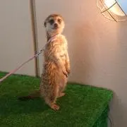 まっさんの画像