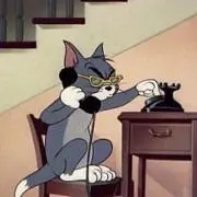 mgyt-catの画像