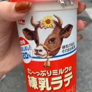 ねちゃんの画像