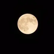 M MMの画像