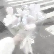 えなの画像