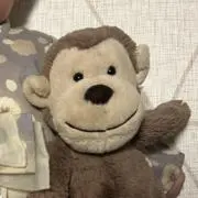 いわぺいの画像