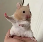 maの画像