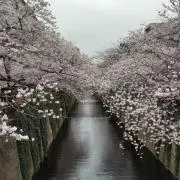 ユー