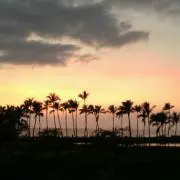 ダルマ