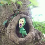 わさびの画像
