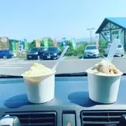 かずみの画像