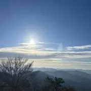 まいごのてぶくろの画像