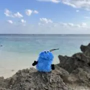 mikyanの画像