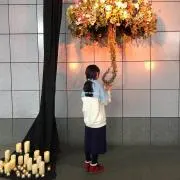 ひまわり