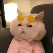 pi❤︎の画像