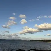 sの画像