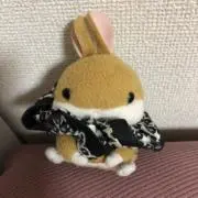 mizの画像