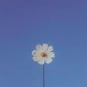 n.の画像