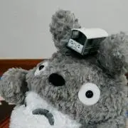 sakihanaの画像