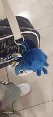 ピコの画像