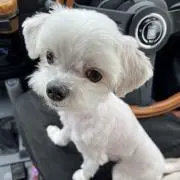 いその画像