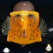 HALKの画像