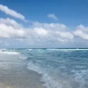 アネッサの画像