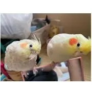 小動物LOVE
