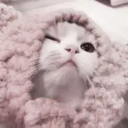 ｕの画像