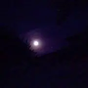 卍ポテチ卍