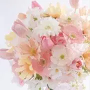 pinolunaの画像