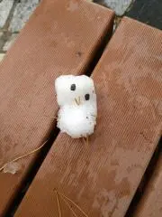 アロマロンの画像