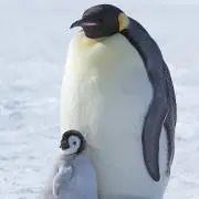 らららの画像
