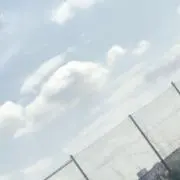 ℳ.