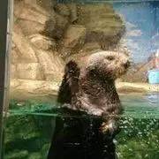 Minaの画像