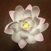 【即購入可】かこの画像