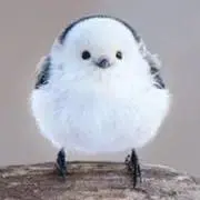 後藤マグナムロックペグ