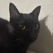 tk