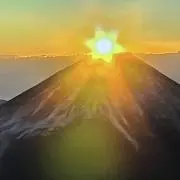 むーの画像