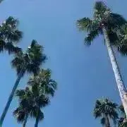サンリオ♡即購入OK♡♡の画像