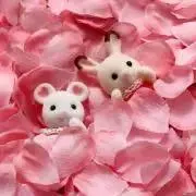 はむこの画像