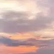 さくらんぼの画像