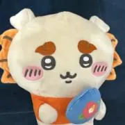 きらの画像