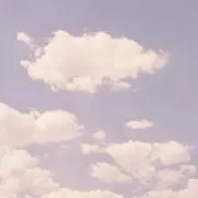 たけの画像