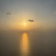 リリの画像