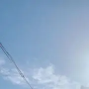 tさんの画像