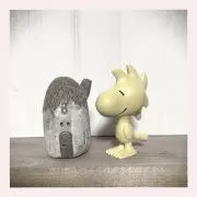 ぱちぱちの画像