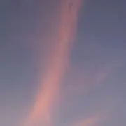 なきの画像