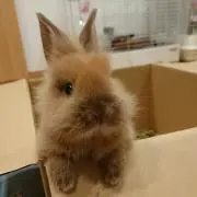 ⭐ゆず⭐の画像